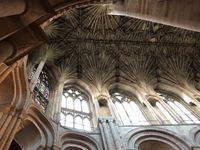 Vaulting Norwich Cathedral